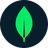 MongoDB icon